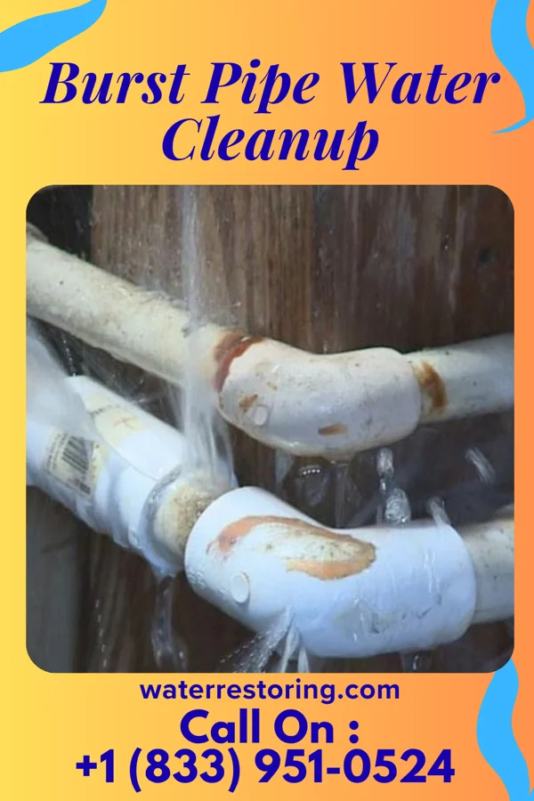 Burst Pipe Water Cleanup in Fort Hunt, VA