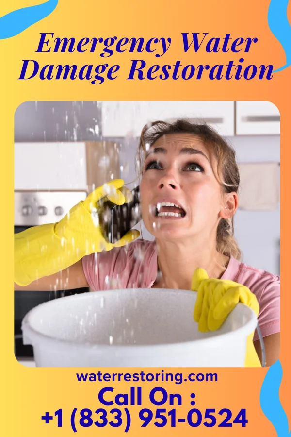 Emergency Water Damage Restoration in Fort Hunt, VA