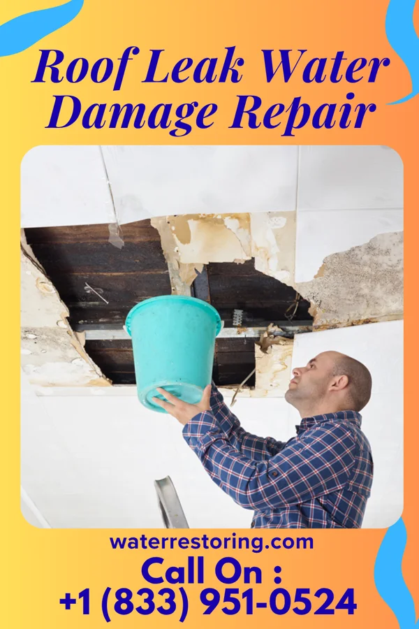 Roof Leak Water Damage Repair in Fort Hunt, VA
