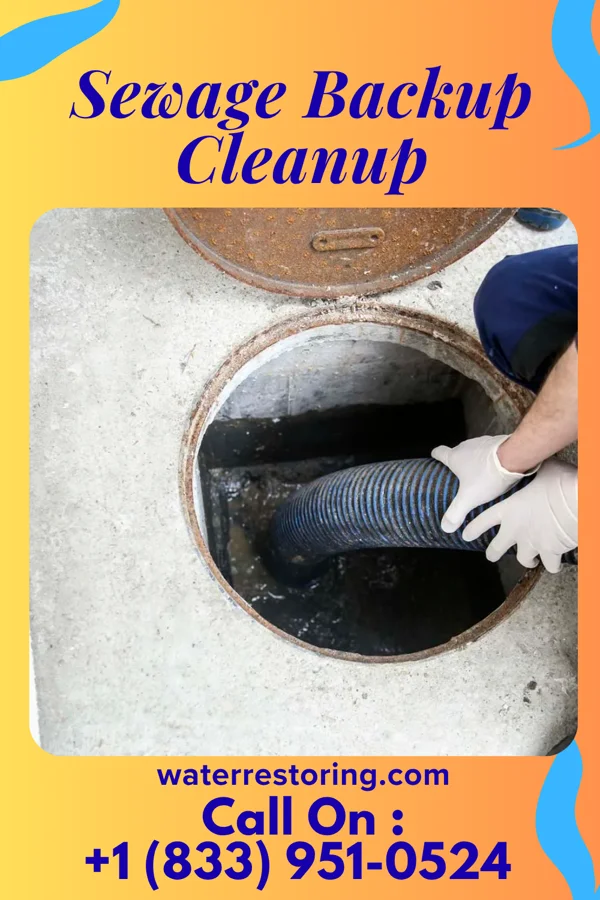 Sewage Backup Cleanup in Fort Hunt, VA